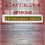 castagna1