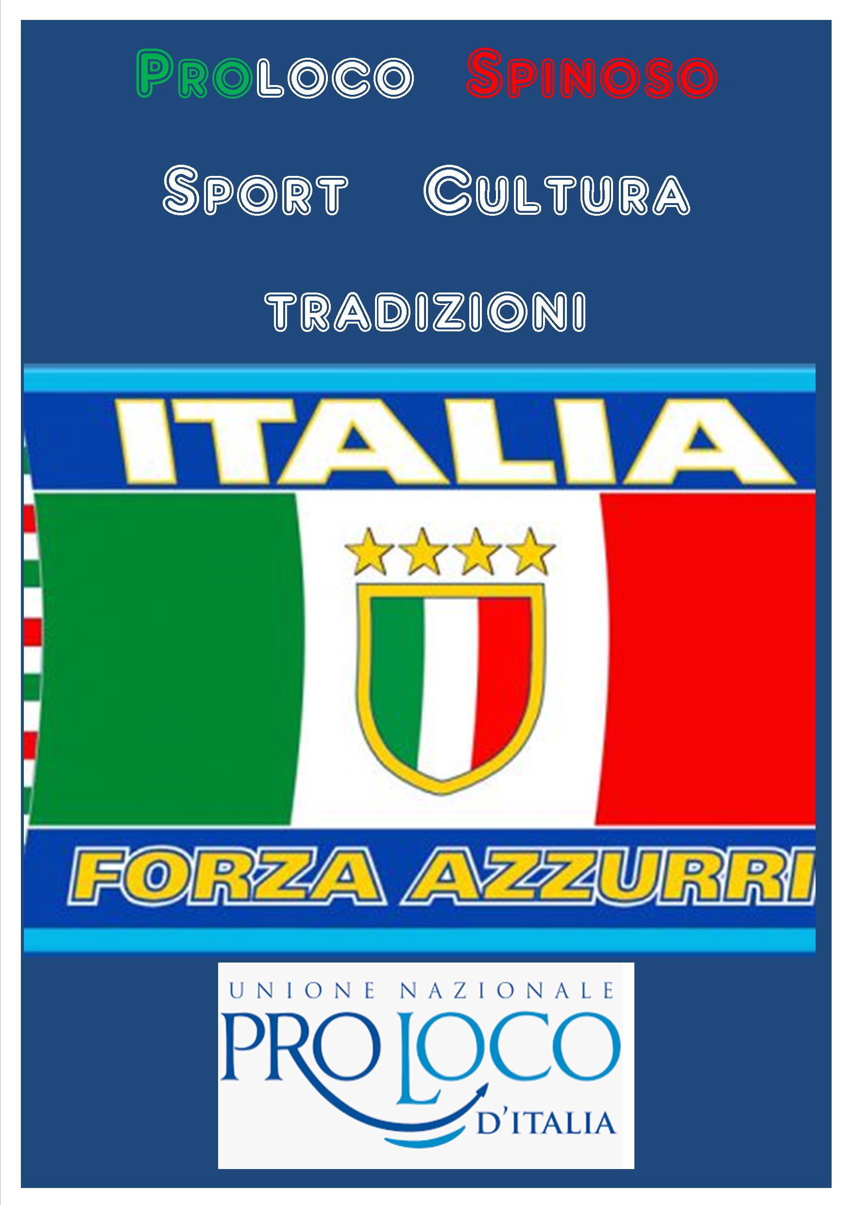 FORZA AZZURRI